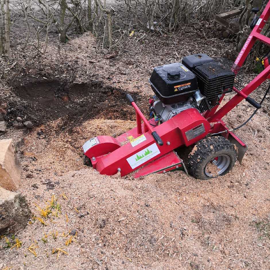 Stubfræsning i Randers og Favrskov